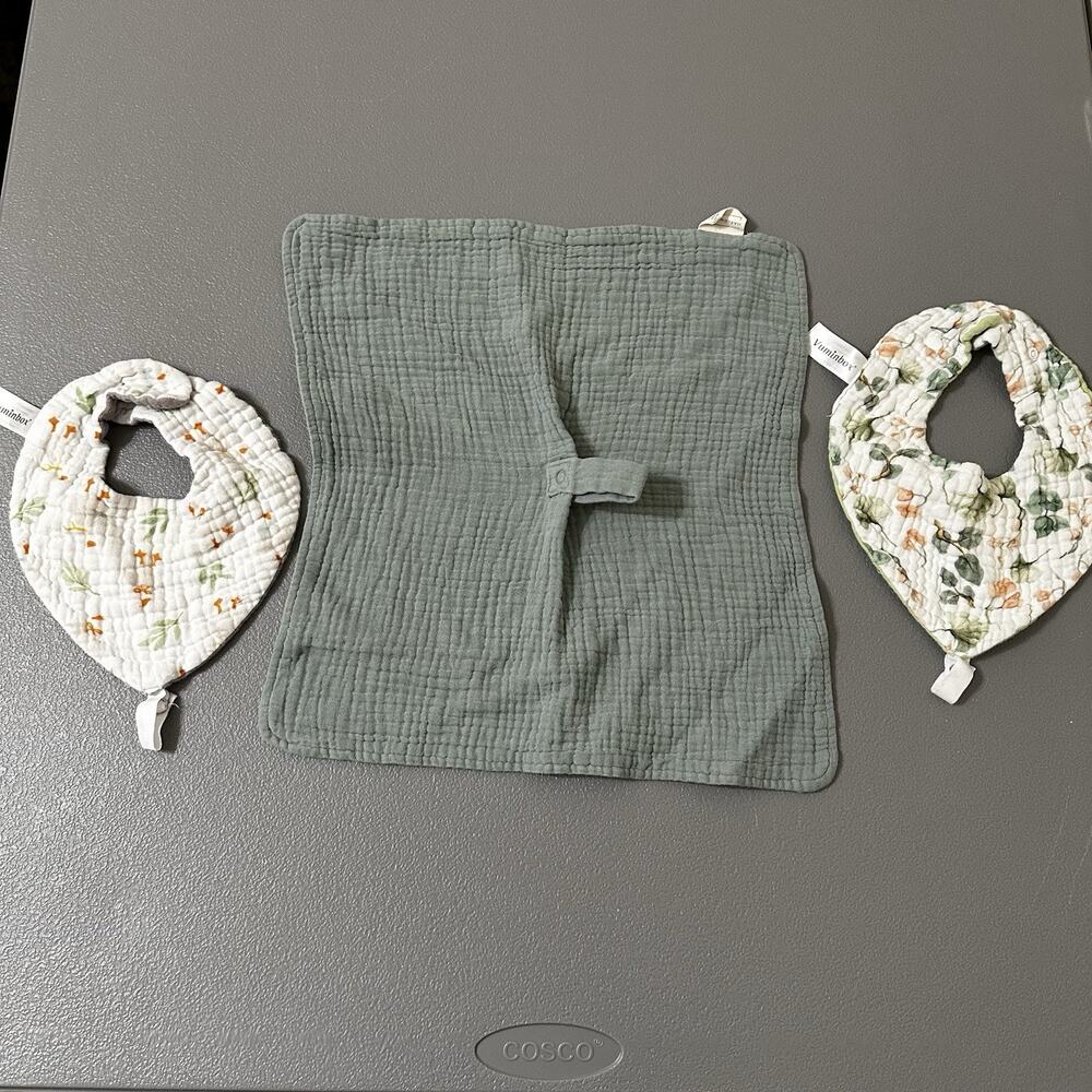 Set: 2 Bibs, Burpcloth